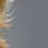 Kelly Clarkson Mr Know It All ITunes Session