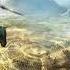 Wukong Heroborne Song Mix Epic Music