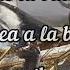 Pique La Baleine Lyrics Sub Español English