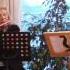 10 Johann Strauss Sohn Annen Polka