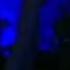 Armin Van Buuren The Longest Day 24 Official Music Video