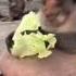 Monkey Eats Lettuce To By The Seaside Apple Alarm