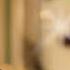 Clings To The Cold CEO S Neck Reborn Wife Exposes His Secret Acts Of Love Why Is He Pulling Away