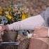 How A Missing Bird Taught Sister Joan Chittister About Humanity SuperSoul Sunday OWN