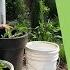 How To Make A Self Watering Planter