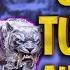 One Shot Sabretooth Authority Build Pets Guide Cubs Location Food Attributes Conan Exiles