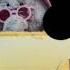 Trypophobia Meme The Banana Splits