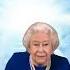 Meanwhile Queen Elizabeth Ll In Heaven Shorts Memes