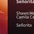 Shawn Mendes Camila Cabello Señorita SONG DOWNLOAD
