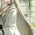 Arknights EP Morning Dew