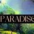 Paradise
