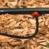 Rain Bird Drip Irrigation System