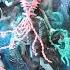 MONSTER HIGH HAUNTED RIVER STYXX VANDALA DOUBLOONS AND KIYOMI HAUNTERLY DOLL REVIEWS