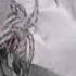 Charlotte Cardin Dirty Dirty Remix New Tune