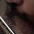 Marcos Coll Chan Chan Harmonicas And Drums