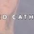 BOOM BAP UICIDEBOY TYPE BEAT CURSED CATHARSIS