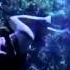 Dan Balan Justify Sex Official Video HD 1080p