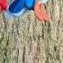 Woody Woodpecker Goes To Camp Movie Logo