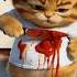 Police Came For A Bloody Cat