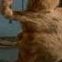 Garfield The Movie Trailer 2004