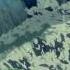 Bloom Mystery Dungeon W Frad