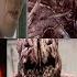 Defeats Of My Favorite Horror Movie Villains Part XIII