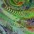 Lichen8 Crepuscule Visualization