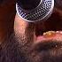 Scars On Broadway World Long Gone Live HD 60 Fps