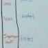 How To Take Cornell Notes