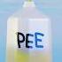 Filling The Grand Canyon With Pee