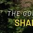 Shadowlands 1993 The Golden Valley Scene
