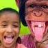 Bandar Mama Pahan Pajama Monkey Funny Video