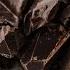 Fatum Chocolate Tanner Wilfong Extended Remix