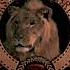 M C E G Metro Goldwyn Mayer 1988 2001