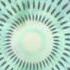 Funk In Your Trunk VOL 5 Five Alive Jaylen S Ghetto Funk Glitch Hop House MIX