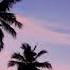 Lewis Capaldi Someone You Loved Lambada Francesa Eduardo Luzquiños Dj Keflem TikTok SPED UP