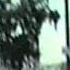 Carol Lee Film 1981