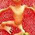 Green Alien Dance El Chombo Dame Tu Cosita Feat Yeşil Uzaylı Dansı Dametucosita Shorts Cover