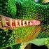 INDIGO PARK HIDDEN SECRETS You Might Have Missed Hacking