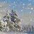 Winter Wonderland With Relaxing Piano Music Smart TV Background Video