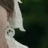 Victoria Albert The Love Story Part 68