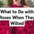 I Didn T Know What To Do With Roses When They Wilted