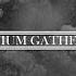OMNIUM GATHERUM Skyline Full Track Teaser