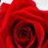 DJ Antoine La Vie En Rose Official