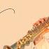 The Power Of Love Saxophone Cover By Felicitysaxophonist