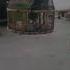Dugla Batair Ki Awaz Herquln Quail Calling