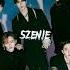 Stray Kids 피어난다 Waiting For Us Sped Up
