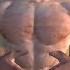 I Became The Strongest Martial Artist In Kenshi