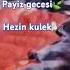 Payiz Gecesi