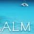 Special Soothing Meditative Video To Balance The Inner States And Develop Protection